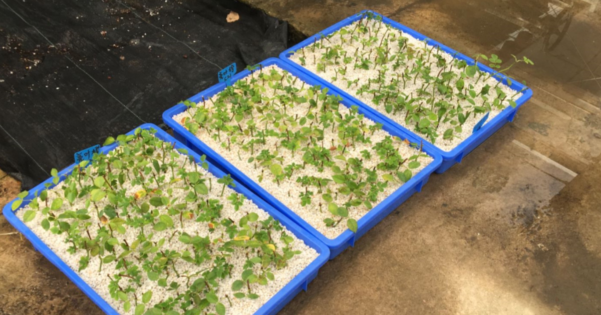 物流場景周轉箱定制服務:從通用容器到精準效率引擎 物流場景周轉箱定制服務:從通用容器到精準效率引擎